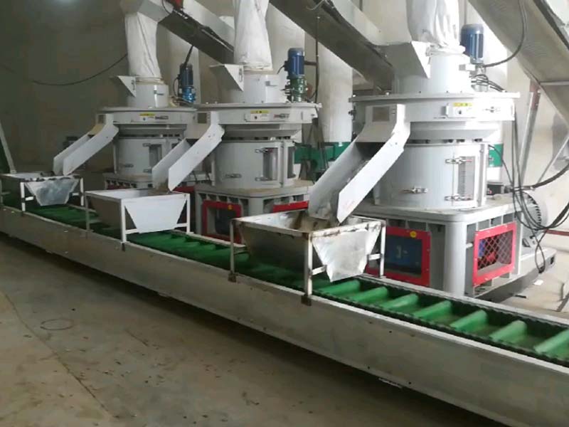 Supply of efficient wood pelletizing production line