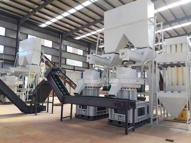 Biomass Pellet Production Line - Waste To Green Ener